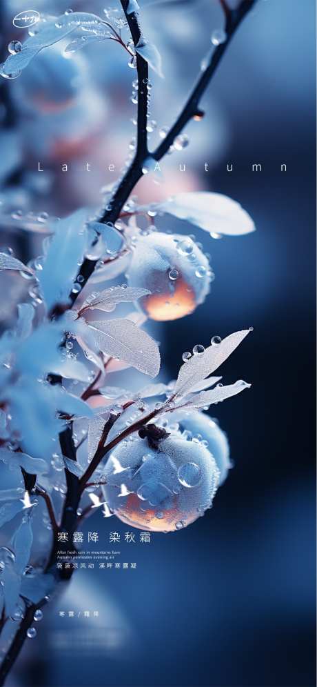 地产霜降节气海报_源文件下载_PSD格式_1125X2436像素-水珠,海报,节气,霜降,地产,冬天,冬季-作品编号:2024100909485791-志设-zs9.com