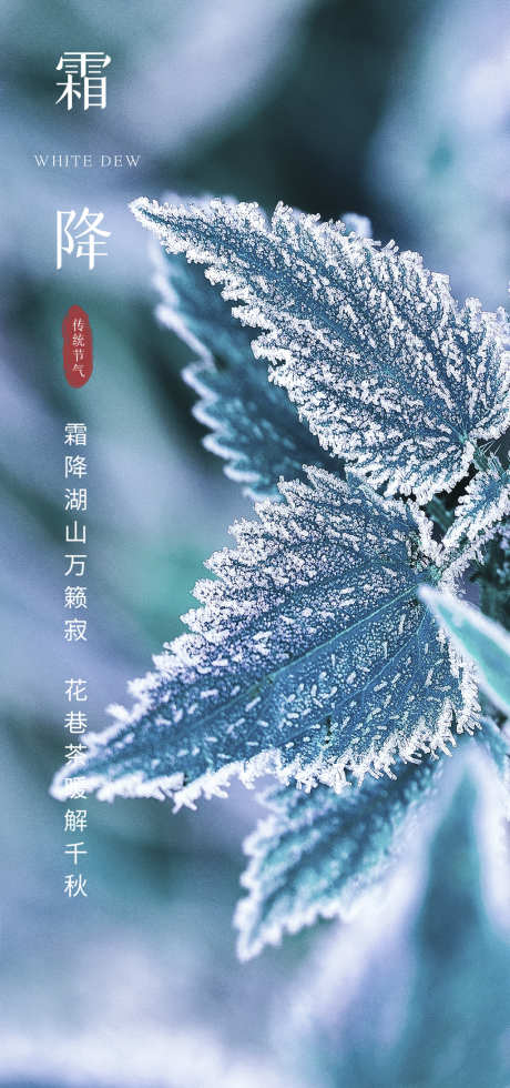 霜降节日简约节气插画唯美海报_源文件下载_23格式_1024X2181像素-海报,唯美,节日-作品编号:2024101109169769-志设-zs9.com