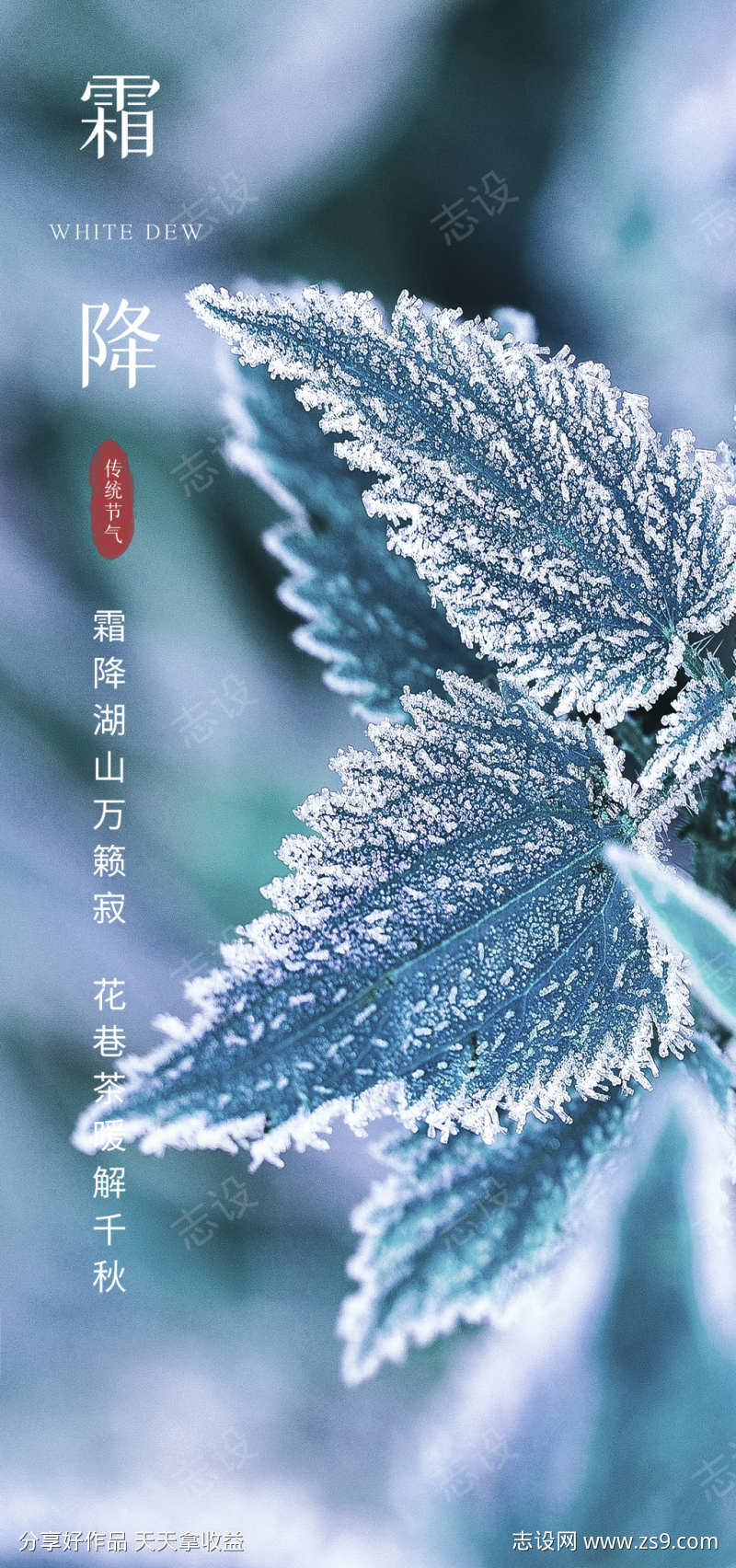 霜降节日简约节气插画唯美海报