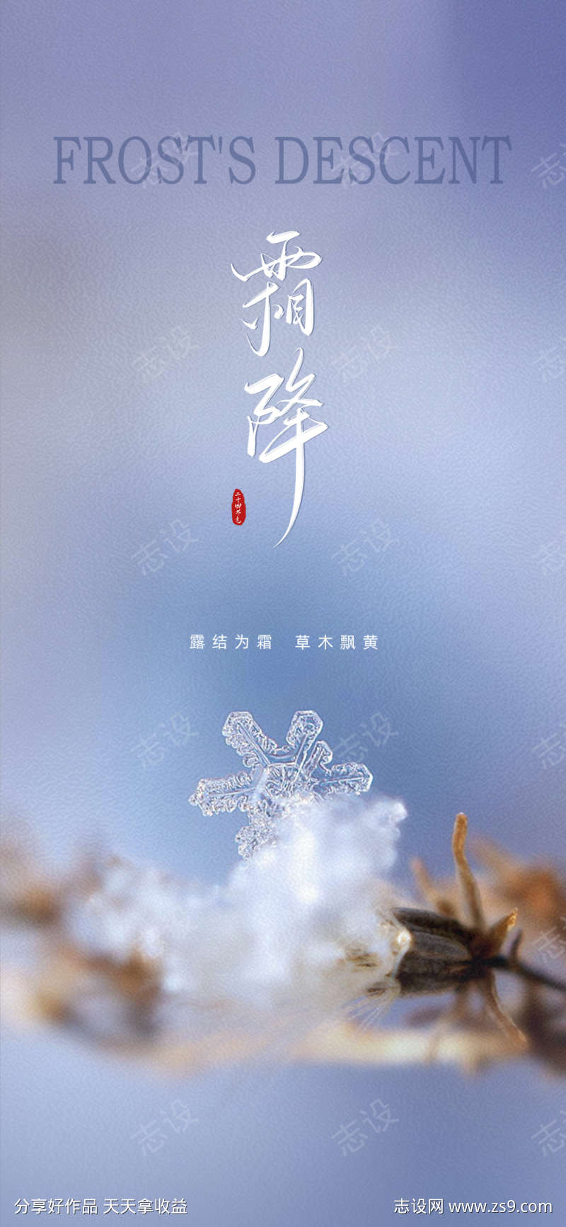 霜降简约节日插画唯美节气海报