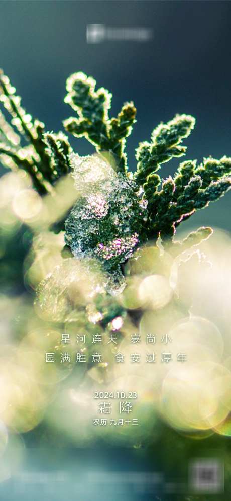 霜降节气海报_源文件下载_PSD格式_1125X2436像素-简约,意境,清新,晶体,雪花,结霜,树枝,松树,雪地,风景,摄影,冬天,大寒,小寒,大雪,小雪,冬至,立冬,霜降,二十四节气,房地产,海报-作品编号:2024101516471431-志设-zs9.com