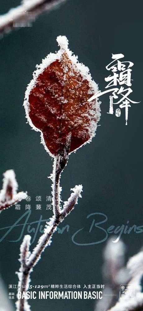 霜降节气海报_源文件下载_AI格式_1562X3396像素-霜降,冬天,雪地-作品编号:2024101510092141-志设-zs9.com