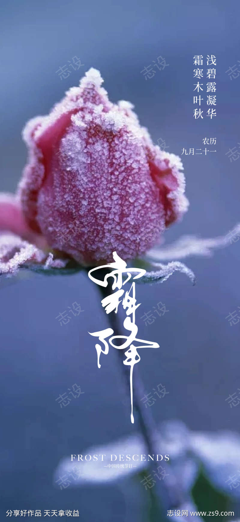 霜降节气海报