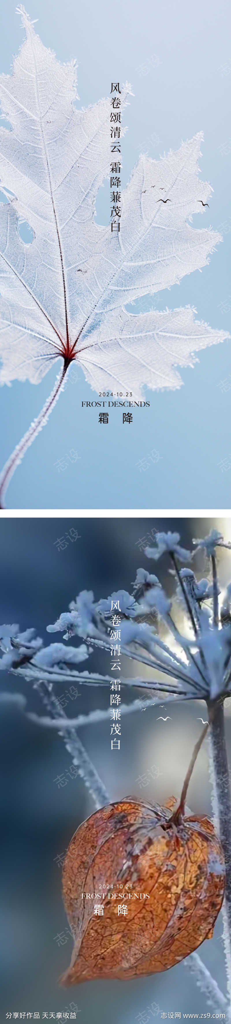 霜降节气海报