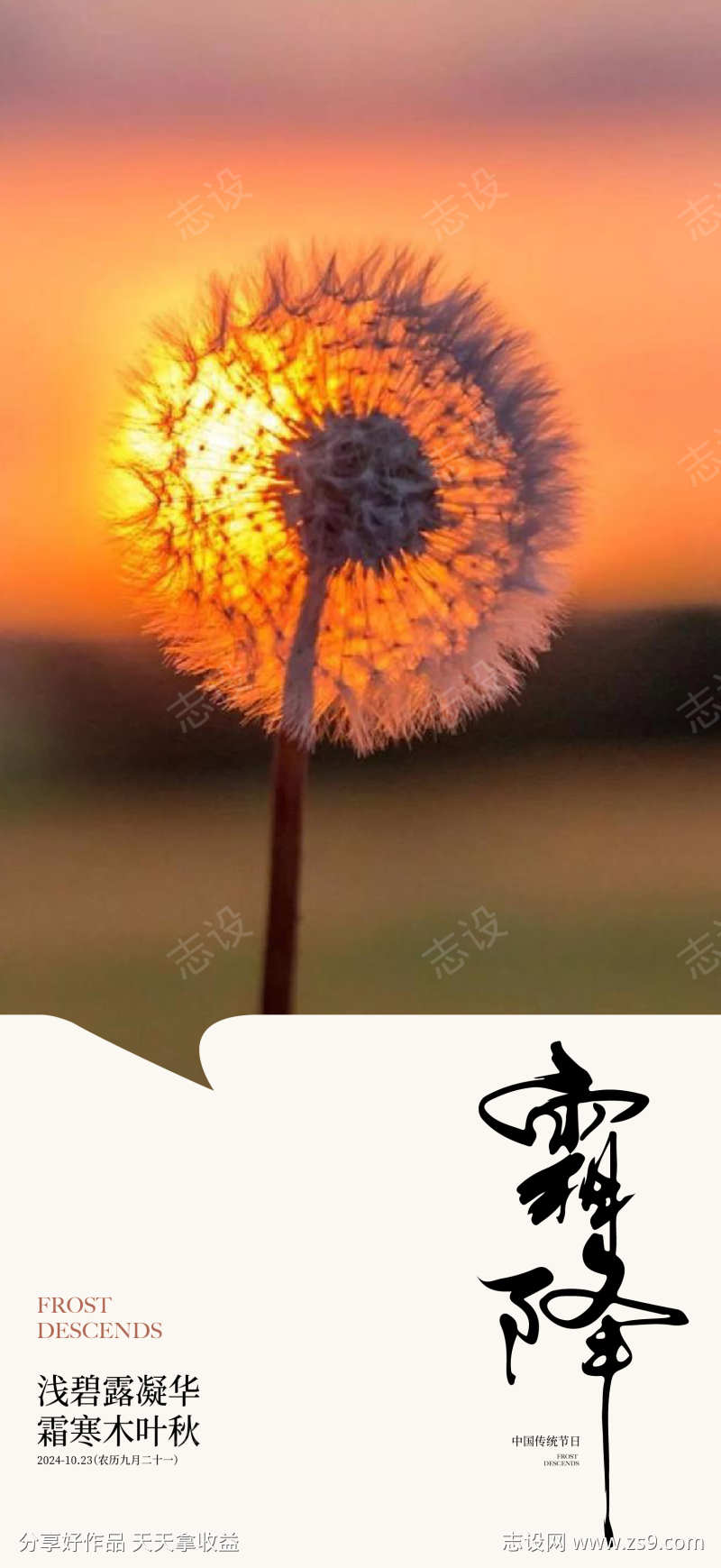 霜降节气海报