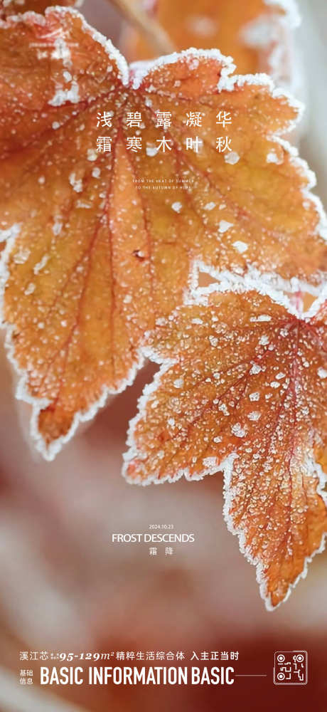 霜降节气海报_源文件下载_AI格式_1200X2609像素-海报,节气,霜降,实景,结霜,叶子,秋天,秋季-作品编号:2024101711175717-志设-zs9.com