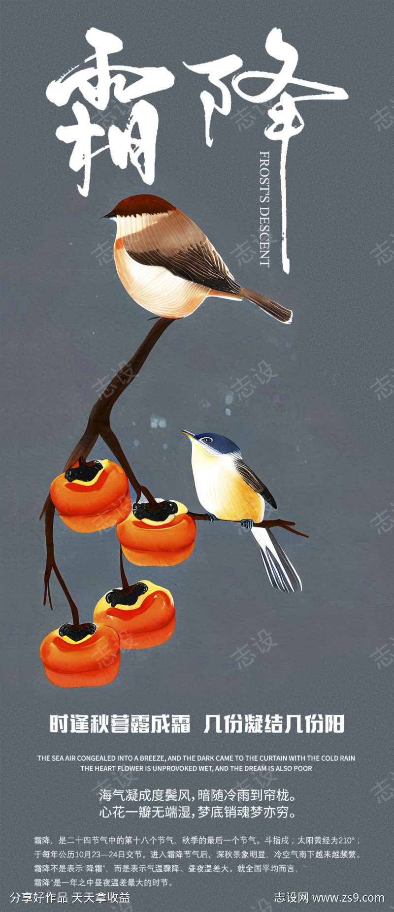 霜降大气节气节日简约唯美插画海报