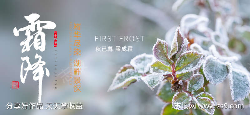 霜降节气海报