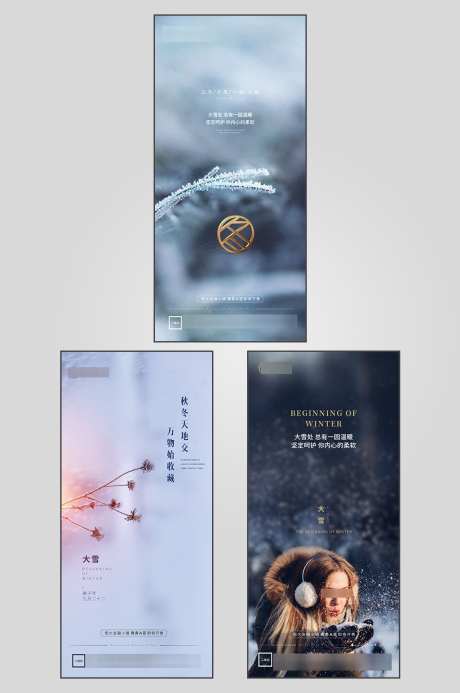 大雪节气宣传海报_源文件下载_PSD格式_1024X1542像素-海报,节气,大雪,地产,冬天,冬季,雪景,下雪-作品编号:2024102110386379-志设-zs9.com