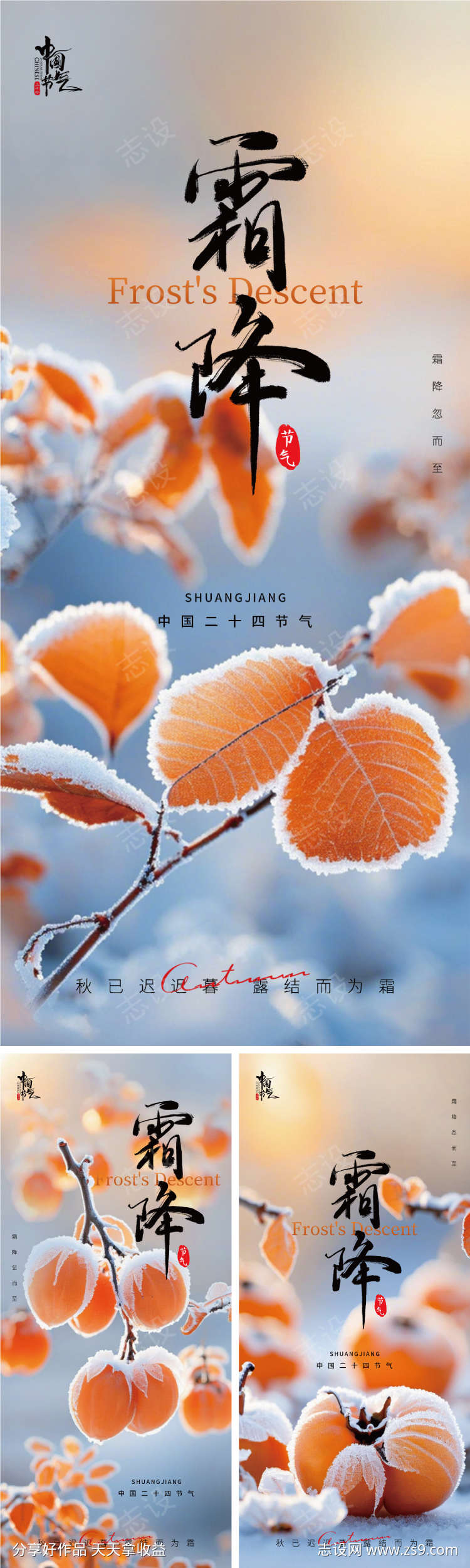 霜降系列海报