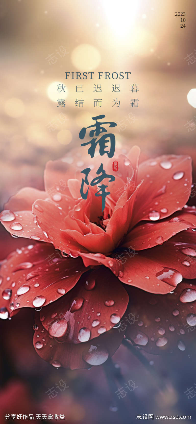 霜降节日简约插画节气唯美海报