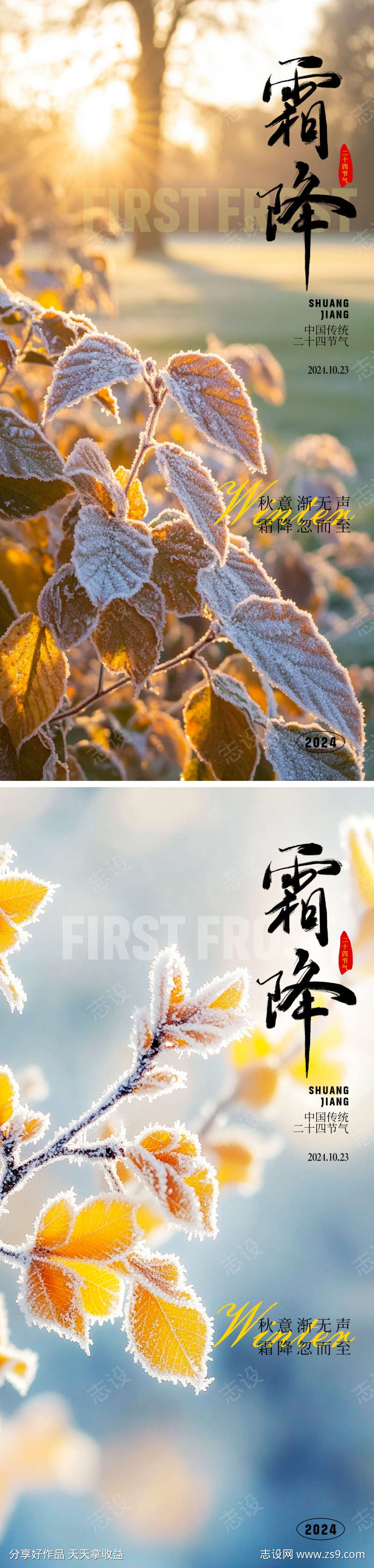 霜降系列海报