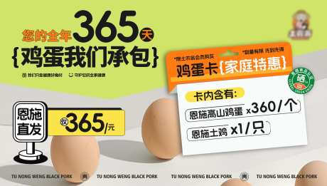 土特产生鲜蔬菜食品鸡蛋卡促销直发_源文件下载_PSD格式_4724X2677像素-绿色,健康,食品,鸡蛋,蔬菜,生鲜,土特产,电商-作品编号:2024102708333712-志设-zs9.com