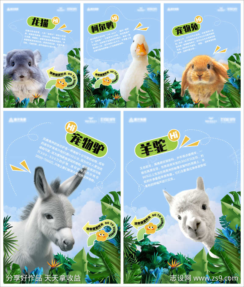 萌宠活动海报