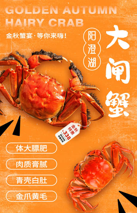 阳澄湖大闸蟹_源文件下载_PSD格式_1424X2208像素-零食,美味,食品,餐饮,美食,海鲜,海报,螃蟹,大闸蟹-作品编号:2024103009428854-志设-zs9.com