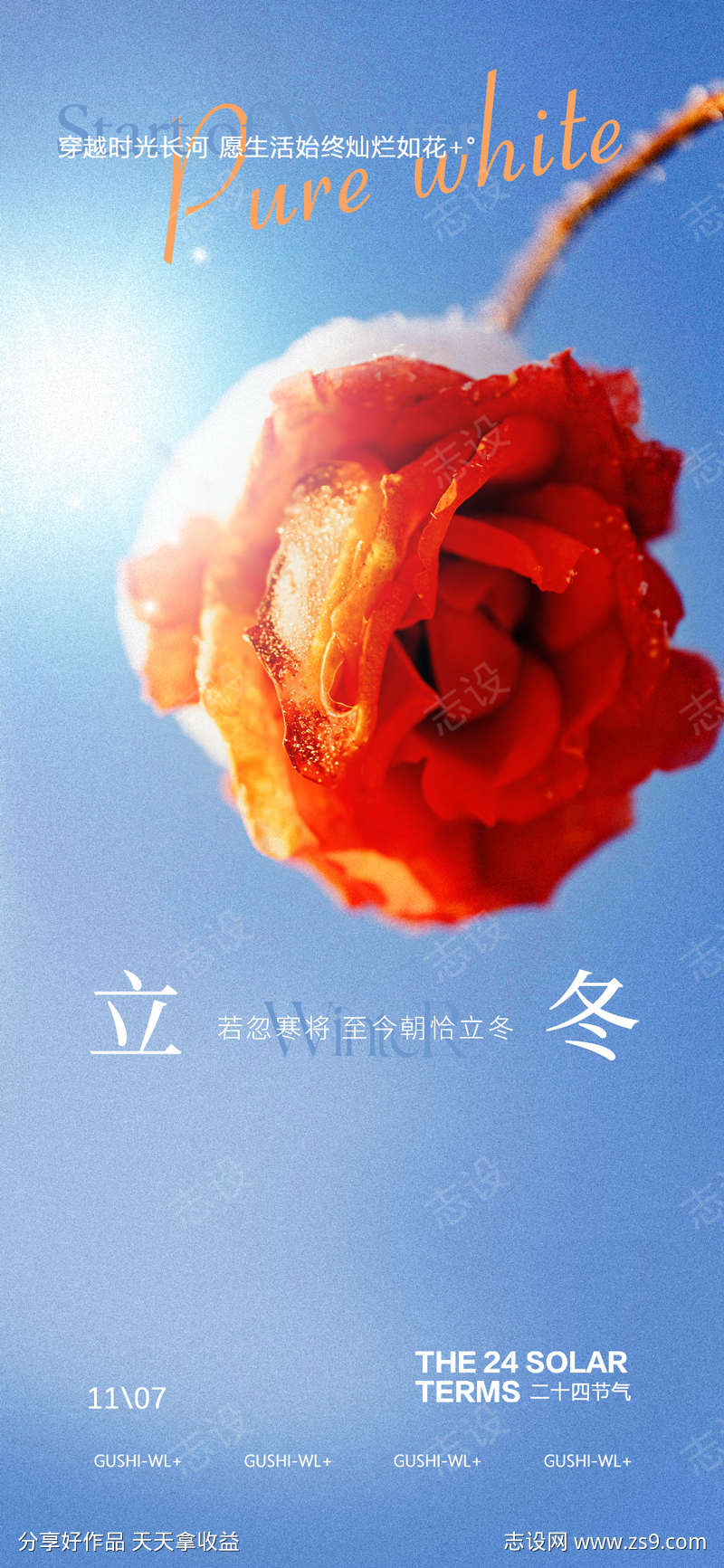 二十四节气玫瑰花开立冬海报