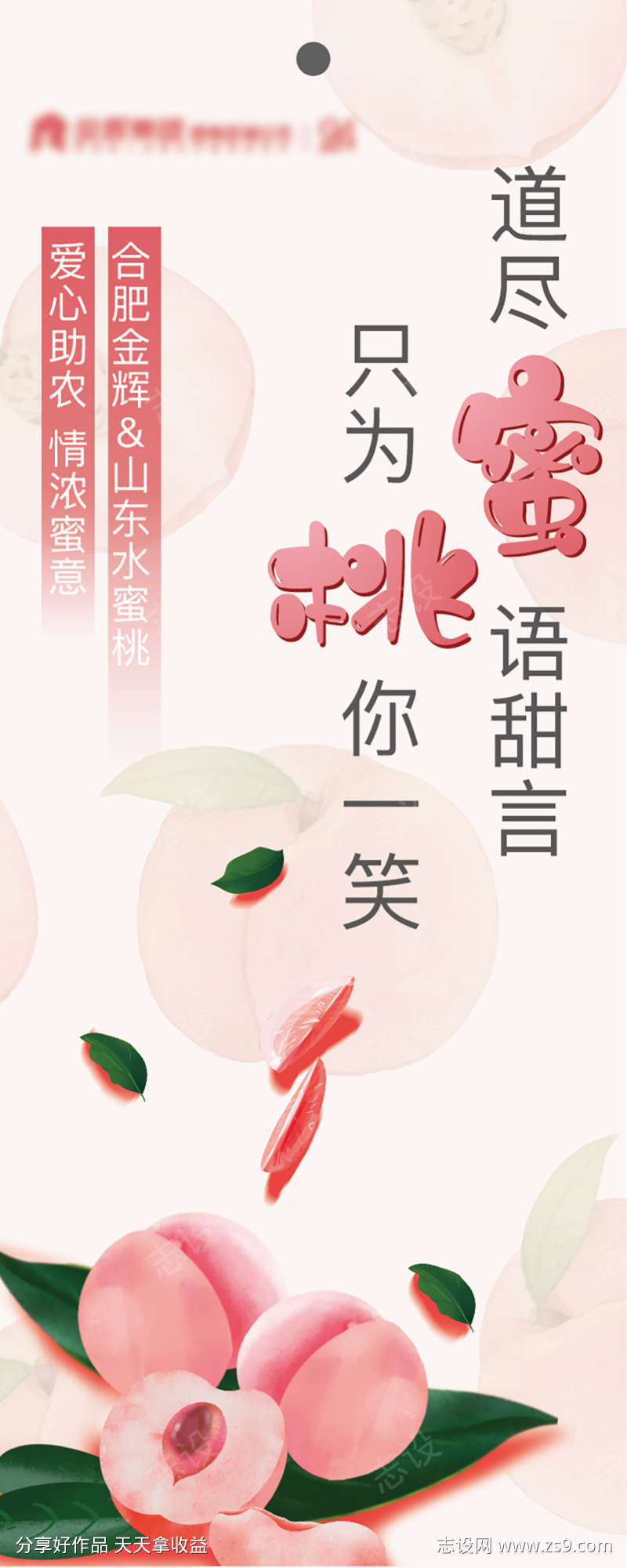 桃子暖场活动