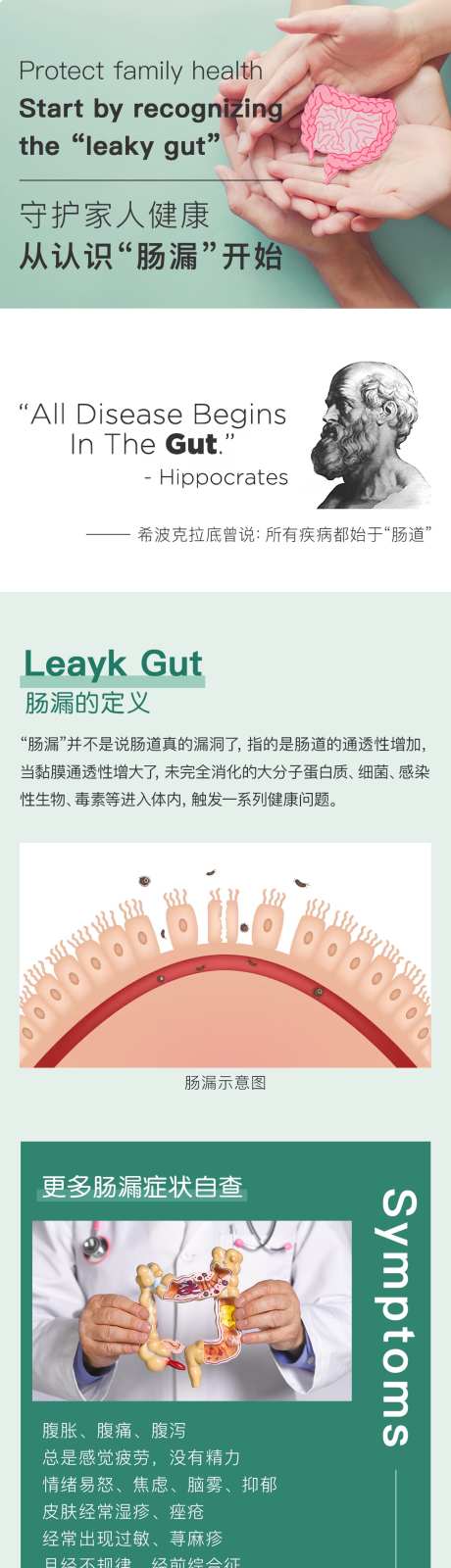 肠漏宣传长图_源文件下载_PSD格式_1200X6810像素-筛查,健康,肠道-作品编号:2024111017053855-志设-zs9.com