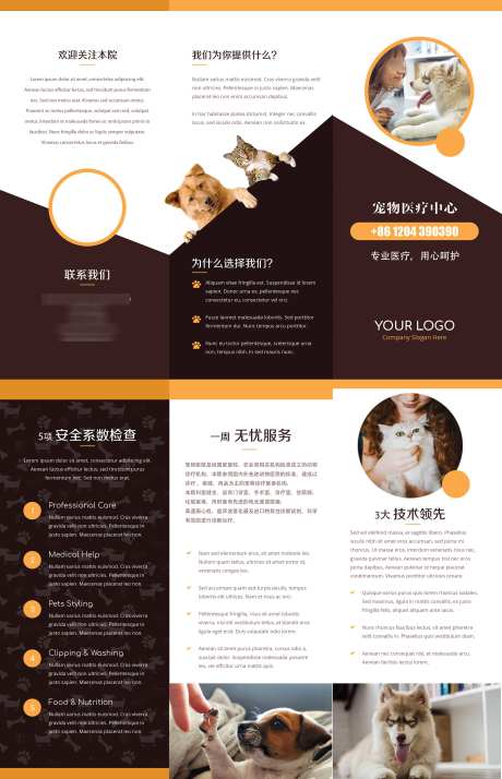 宠物店宣传单三折页_源文件下载_PSD格式_2250X3492像素-海报,封面,折页-作品编号:2024111411007240-志设-zs9.com