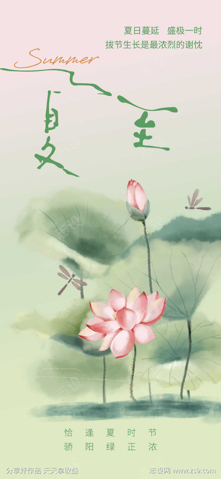 夏至的海报
