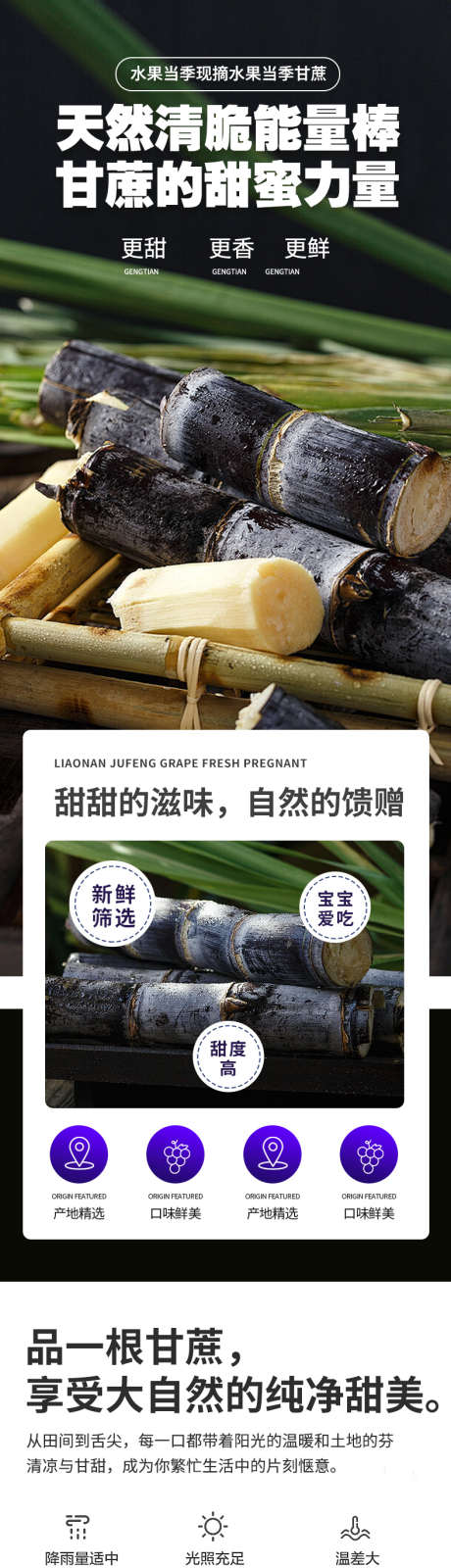 简约大气生鲜水果甘蔗详情页_源文件下载_PSD格式_790X13356像素-特产,原产,甘蔗-作品编号:2024111913353989-志˜设ˉ网