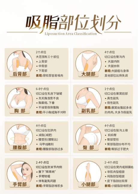 医美吸脂部位划分科普画框海报_源文件下载_CDR格式_800X1119像素-插画,漫画,科普-作品编号:2024112508588308-志˯设˲͓͕͔͐͑͗ٚٛٙ网