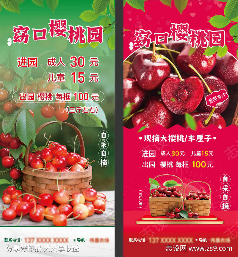 窈口自采自摘樱桃园展架