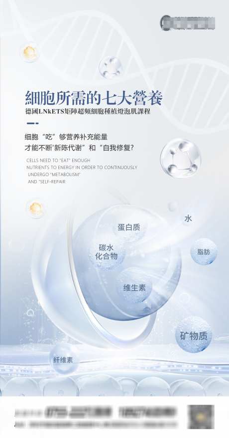 细胞抗衰海报_源文件下载_23格式_2244X4281像素-嫩肤,整形,美容-作品编号:2024112710213988-志设-zs9.com