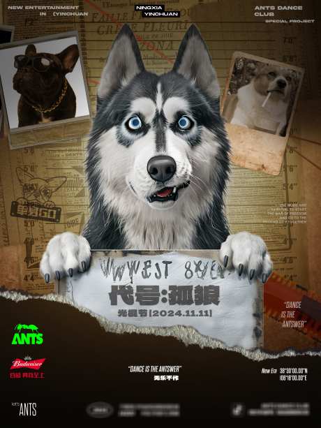 酒吧夜店双十一搞怪宣传海报_源文件下载_PSD格式_3543X4723像素-日常,创意,搞怪,双十一,海报,代号孤狼,酒吧,夜店,光棍节-作品编号:2024120116598967-志设-zs9.com