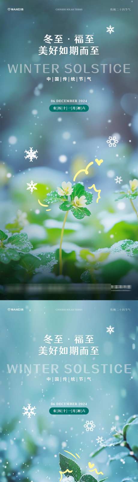 冬至小花小草海报_源文件下载_PSD格式_1080X4680像素-冬天,植物,冬至-作品编号:2024120509369126-志设-zs9.com