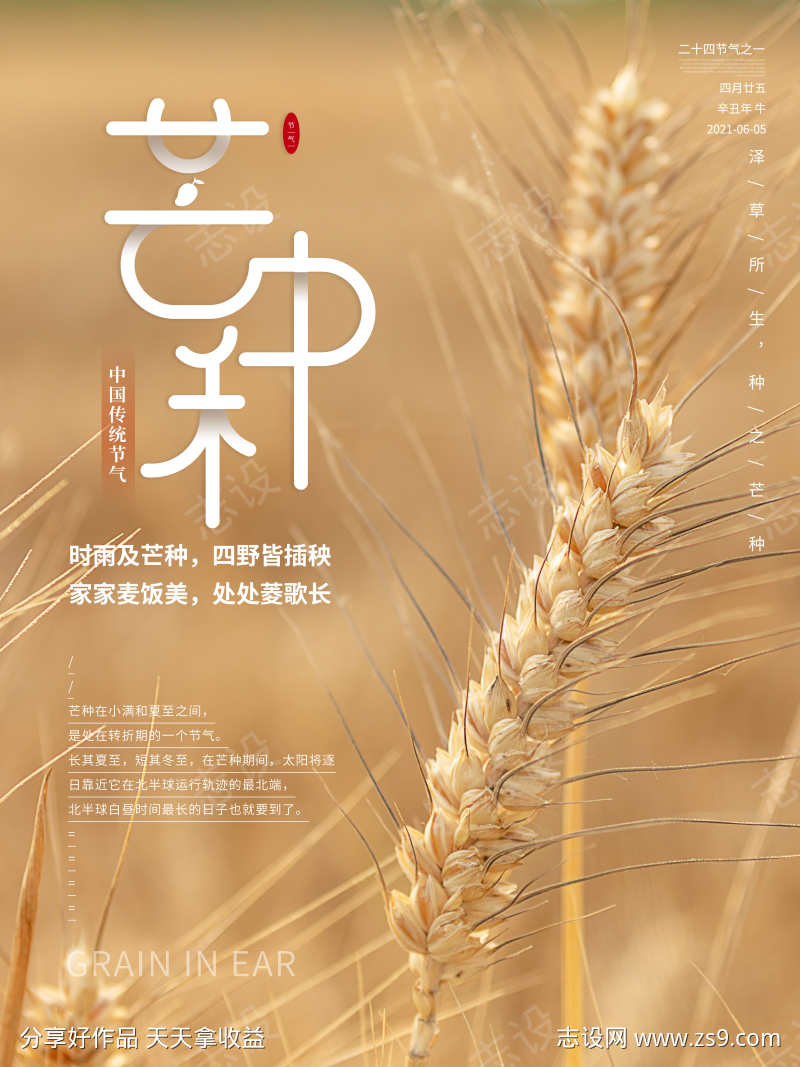 24节气之芒种