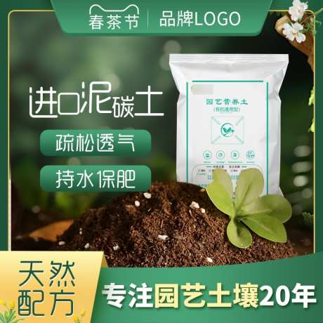 天猫淘宝拼多多阿里巴巴花卉土主图_源文件下载_23格式_800X800像素-主图,促销,园艺-作品编号:2024121013539588-志设-zs9.com