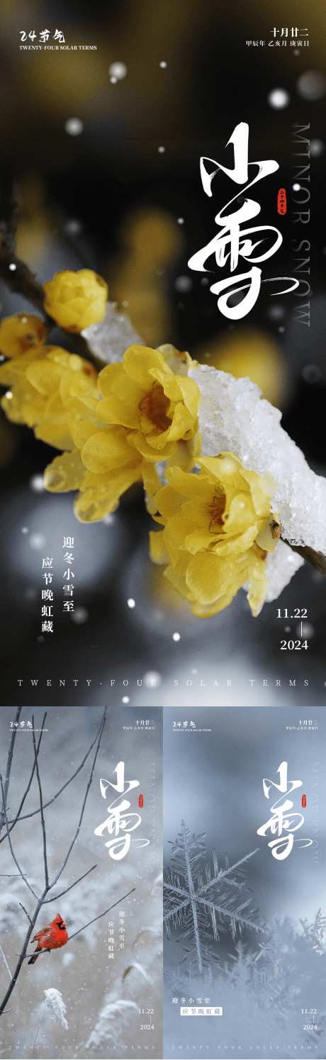 二十四节气小雪系列平面海报_源文件下载_PSD格式_1080X3510像素-朋友圈,海报,简约-作品编号:2024121115475617-志设-zs9.com