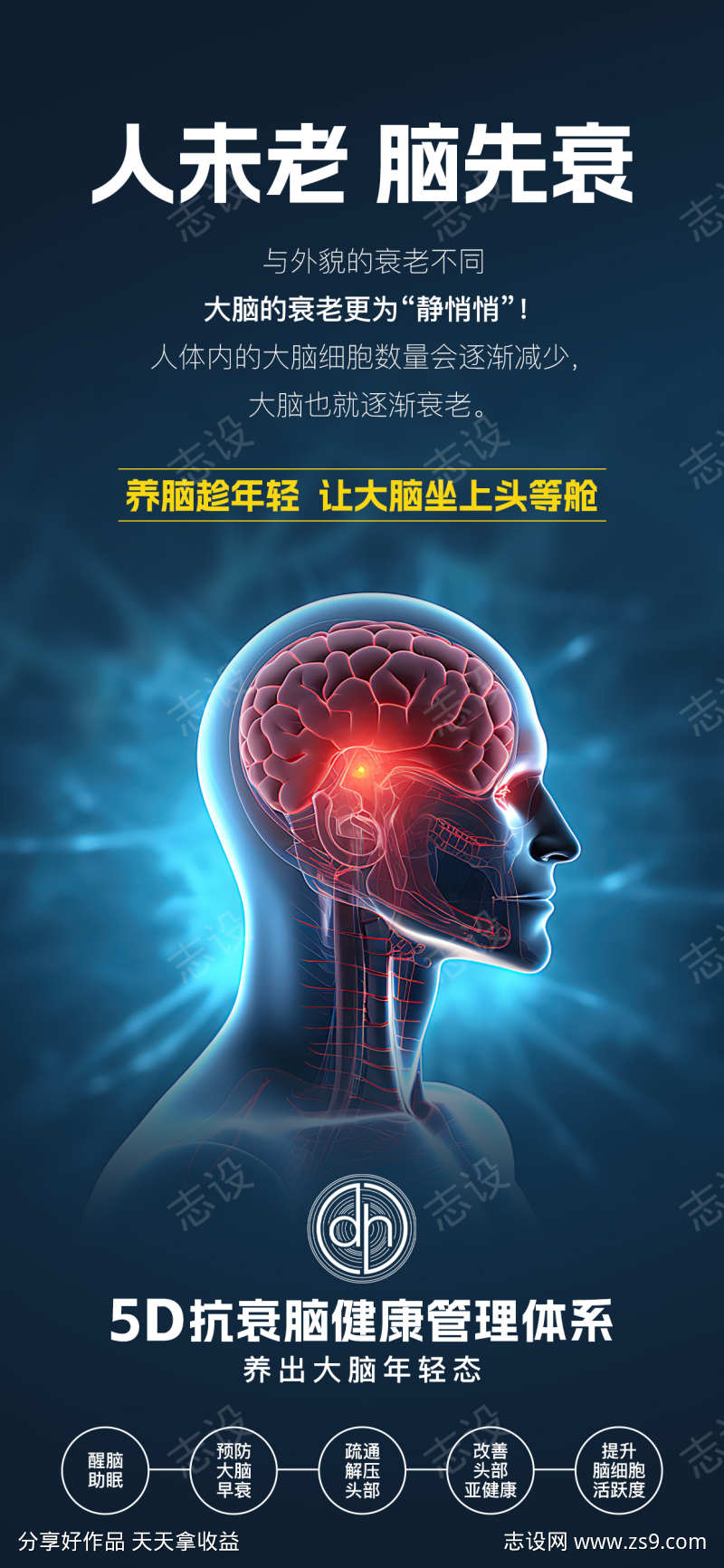 大脑抗衰海报