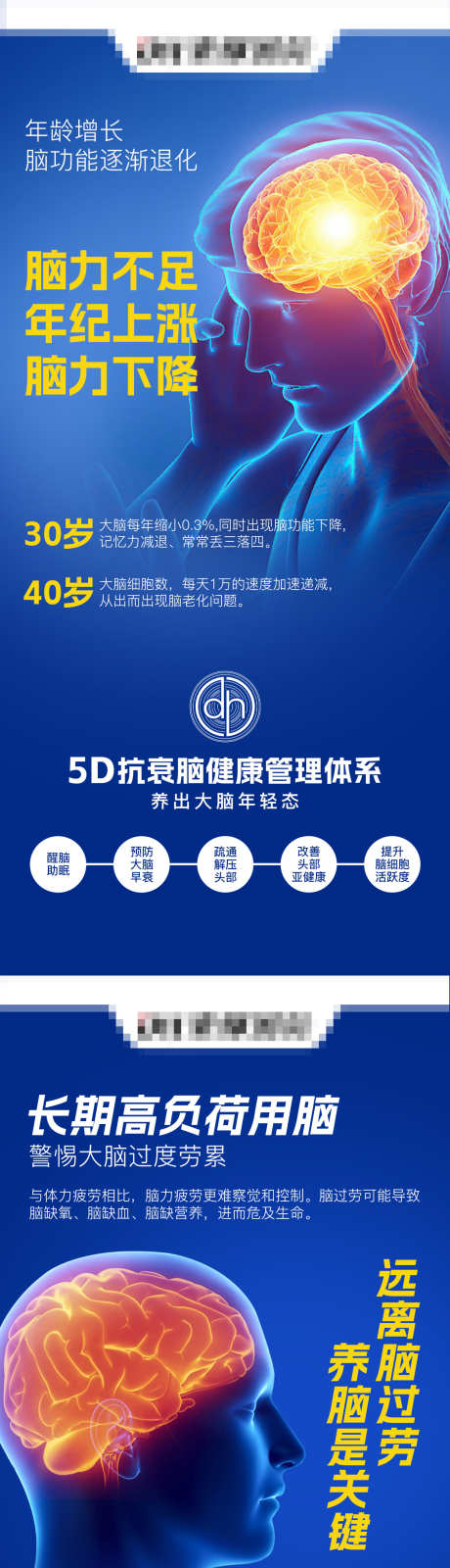 大脑问题脑健康抗衰_源文件下载_PSD格式_1242X5376像素-脑退化,抗衰,闹抗衰-作品编号:2024121209202326-设计素材-www.shejisc.cn