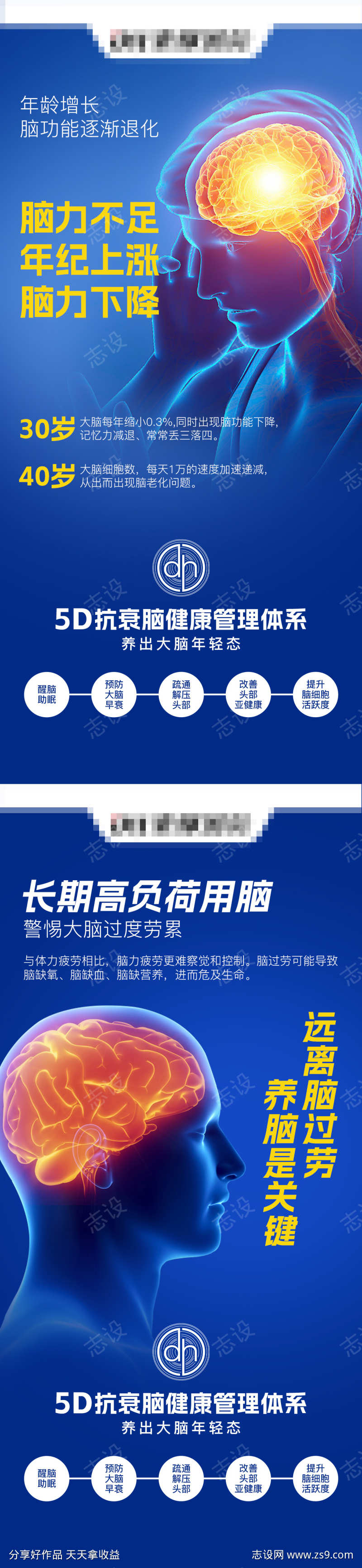 大脑问题脑健康抗衰