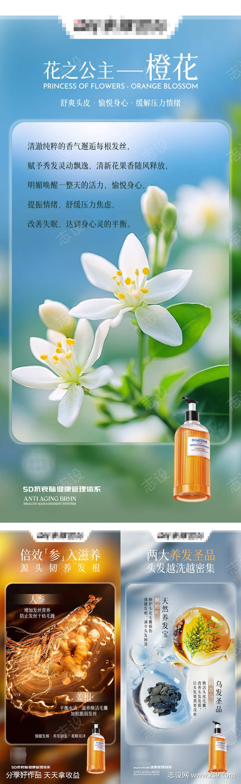 洗发水成分