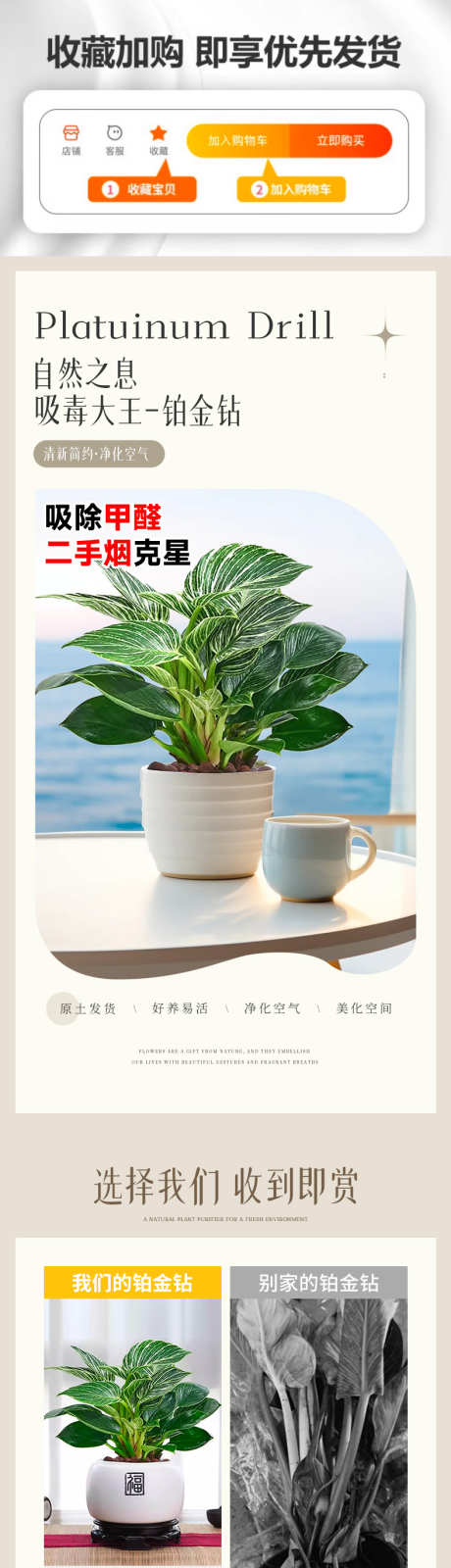 铂金钻详情页_源文件下载_PSD格式_790X13116像素-绿植,详情页,电商,栽培,园艺,种植,盆栽-作品编号:2024121617209812-志设-zs9.com