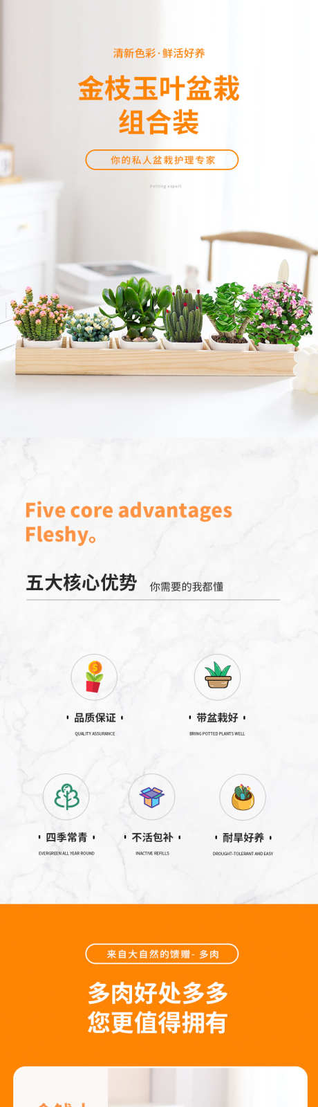 psd多肉详情页_源文件下载_PSD格式_790X9267像素-多肉,绿植,psd,天猫,淘宝,详情页-作品编号:2024121709081022-志设-zs9.com