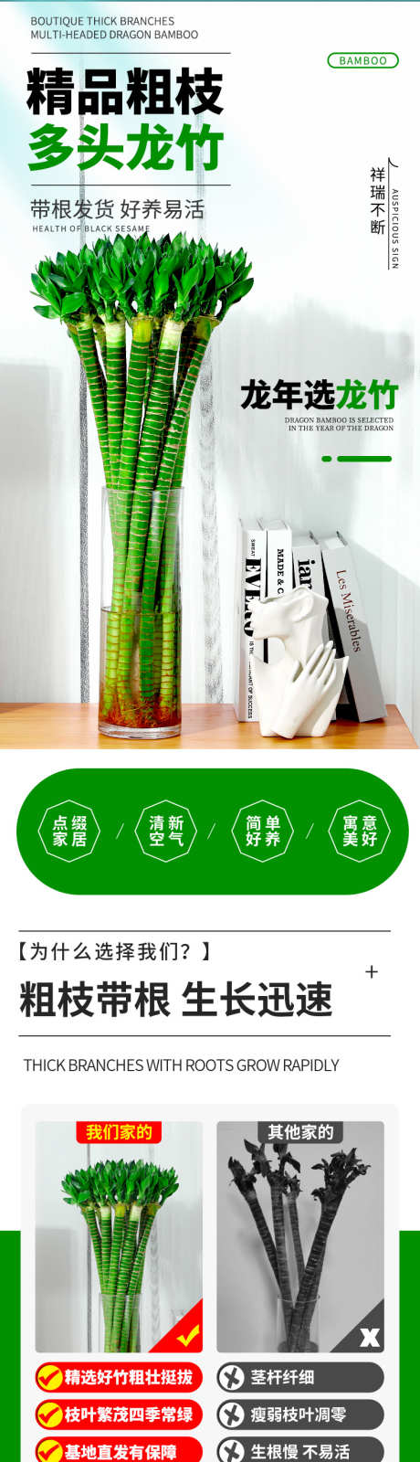 psd龙竹详情页_源文件下载_PSD格式_790X12377像素-花卉,详情页,天猫-作品编号:2024121714501160-志设-zs9.com