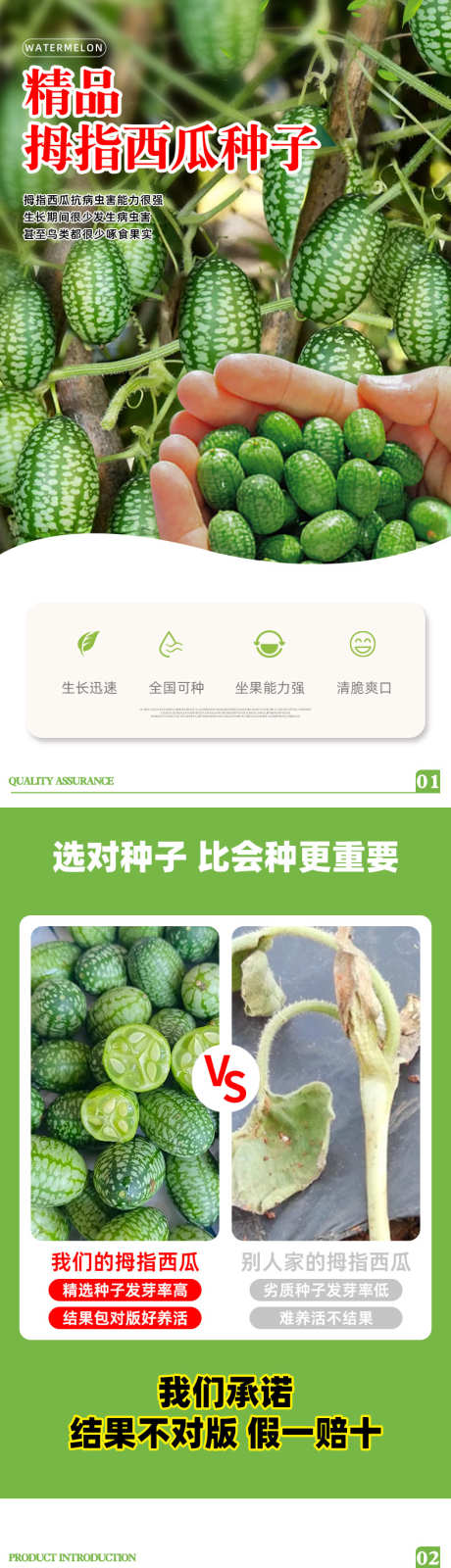 psd拇指西瓜详情页_源文件下载_PSD格式_790X9287像素-详情页,绿植,电商,拇指西瓜,盆栽,栽培,园艺-作品编号:2024121813435320-志设-zs9.com