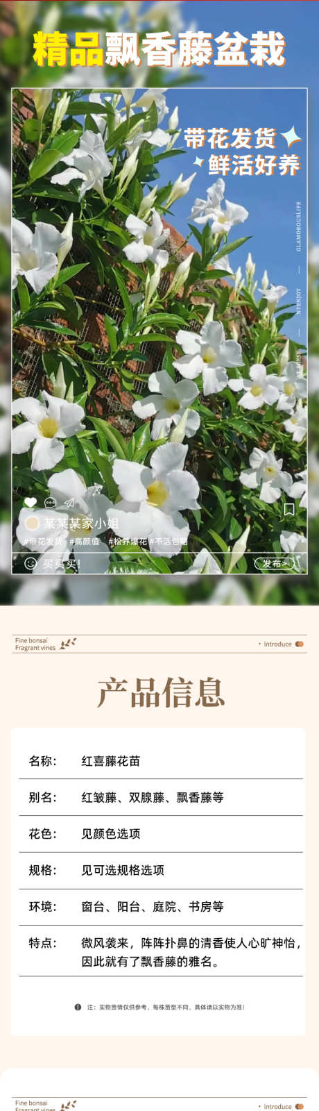 psd飘香藤详情页_源文件下载_PSD格式_790X12413像素-花卉,详情页,天猫-作品编号:2024121813463067-志设-zs9.com