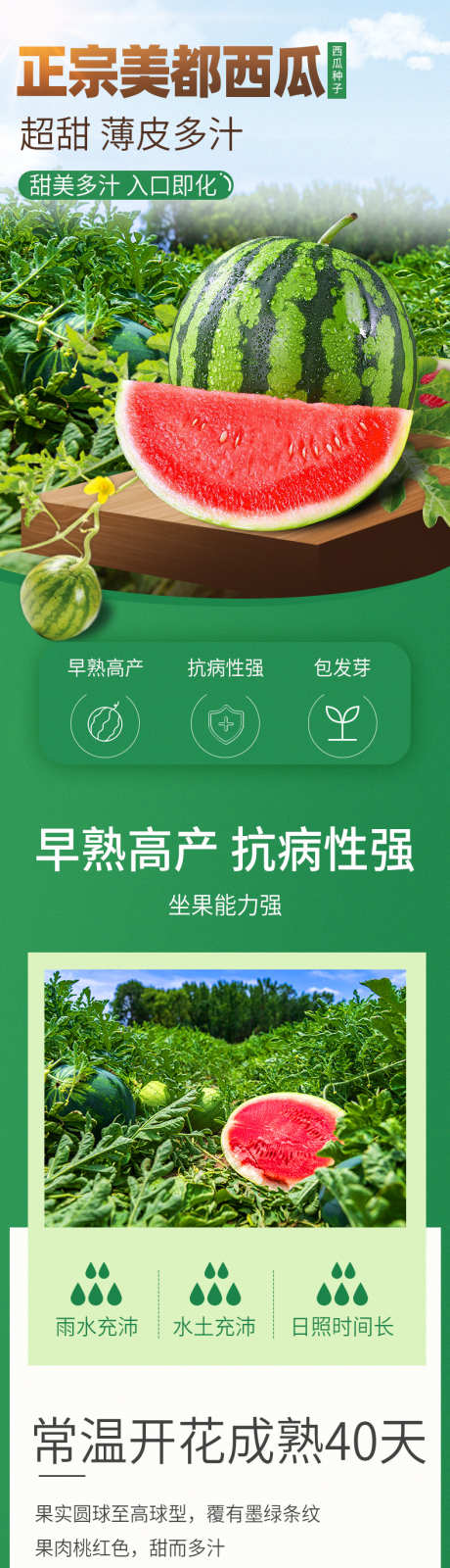 psd西瓜详情页_源文件下载_PSD格式_790X13698像素-详情页,简约,西瓜,水果,电商,产地,品质-作品编号:2024121813456096-志设-zs9.com