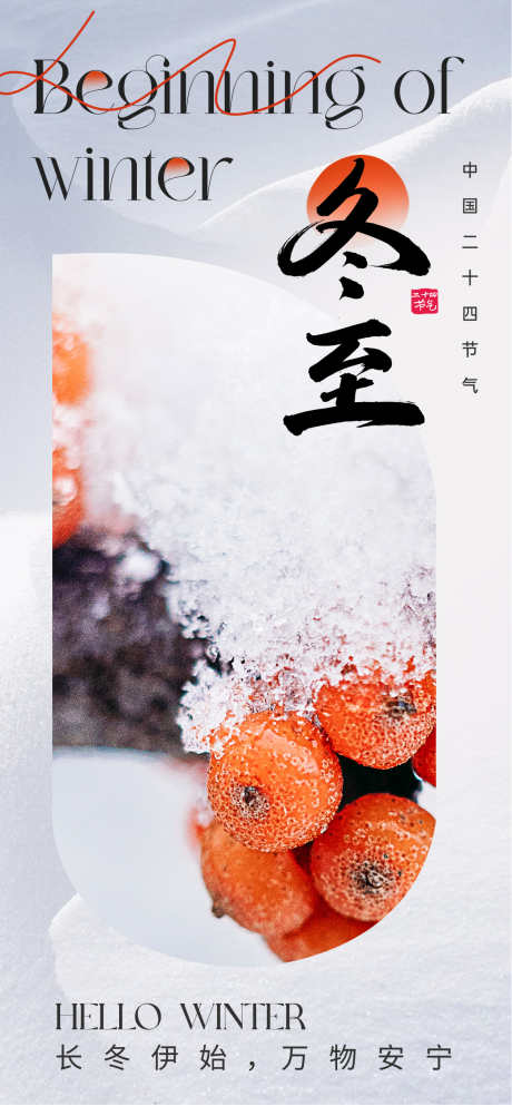24节气之冬至_源文件下载_23格式_1260X2720像素-海报,节气,冬至-作品编号:2024121910217225-志设-zs9.com