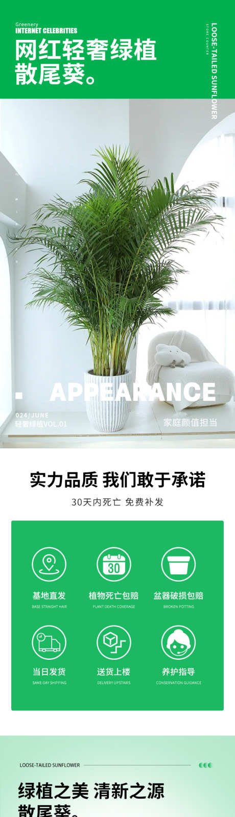 psd散尾葵详情页_源文件下载_PSD格式_790X11548像素-花卉,京东,详情页-作品编号:2024121914205859-志设-zs9.com