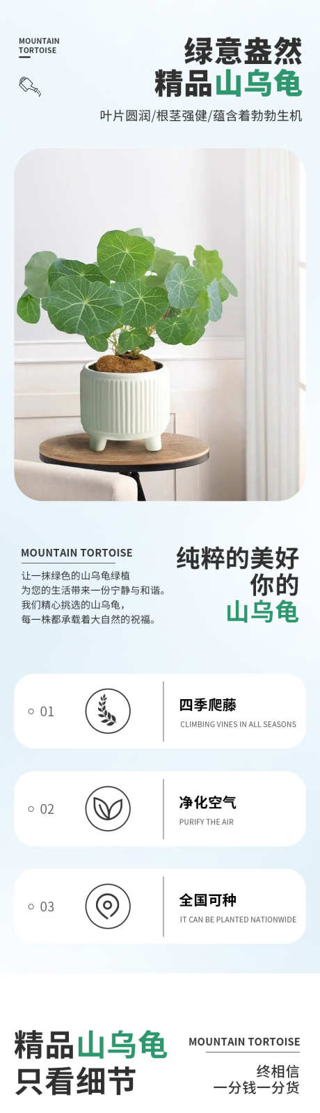 psd山乌龟详情页_源文件下载_PSD格式_790X11638像素-花卉,天猫,详情页-作品编号:2024121914331292-志ˇ设˲͓͕͔͐͑͗ٚٛٙ网