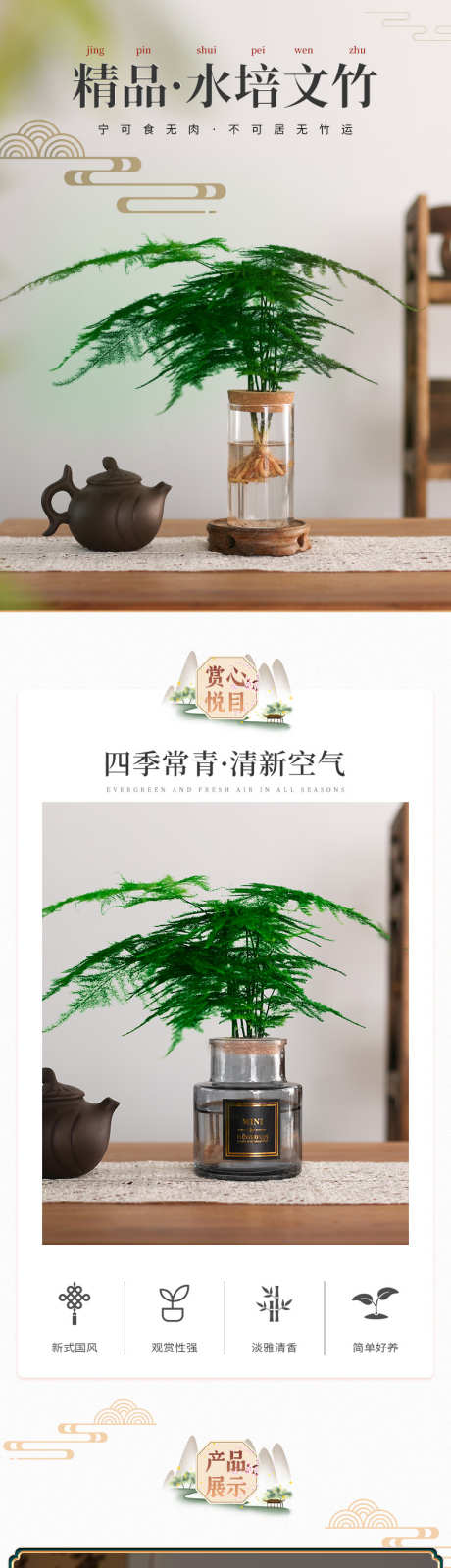 psd水培文松详情页_源文件下载_23格式_790X10048像素-花卉,psd,水培-作品编号:2024121915366727-志设-zs9.com