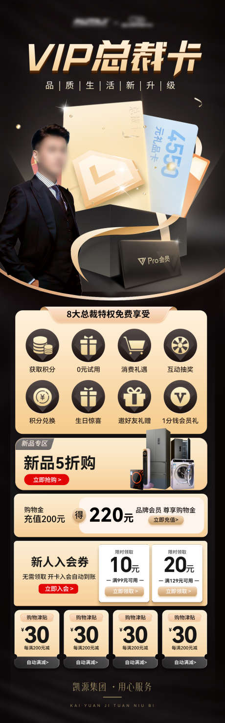 vip总裁权益会员特权卡升级海报长图_源文件下载_PSD格式_1200X3860像素-海报,升级,特权卡-作品编号:2024122011558664-志设-zs9.com