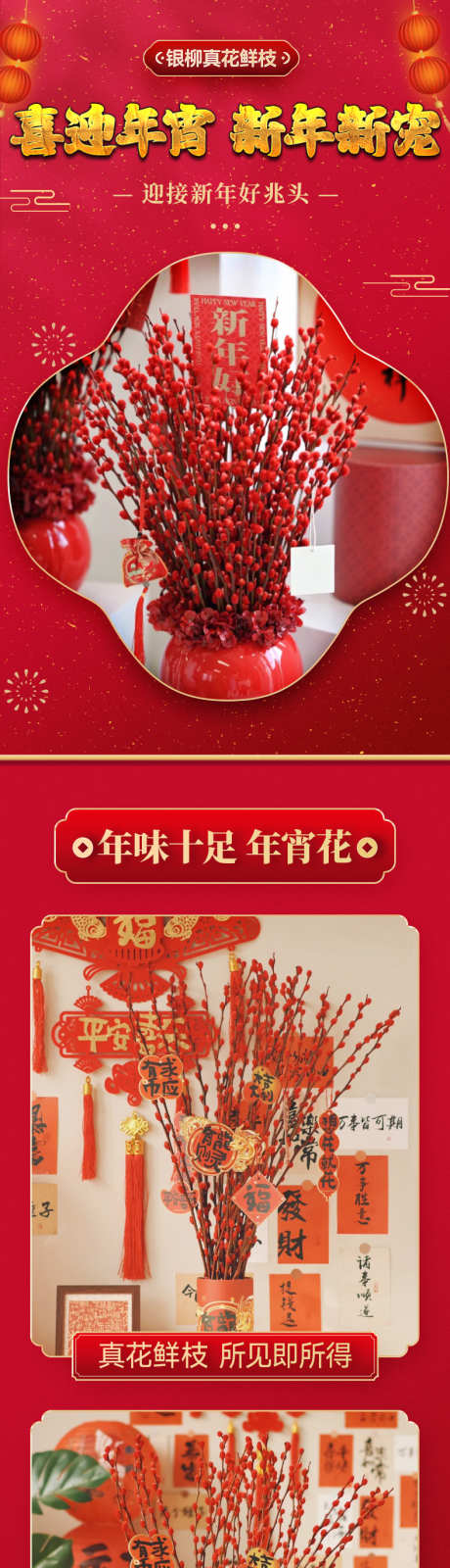 花卉绿植银柳详情页_源文件下载_PSD格式_790X8656像素-绿植,花卉,详情页,电商,盆栽,栽培,年宵花-作品编号:2024122411558079-志设-zs9.com