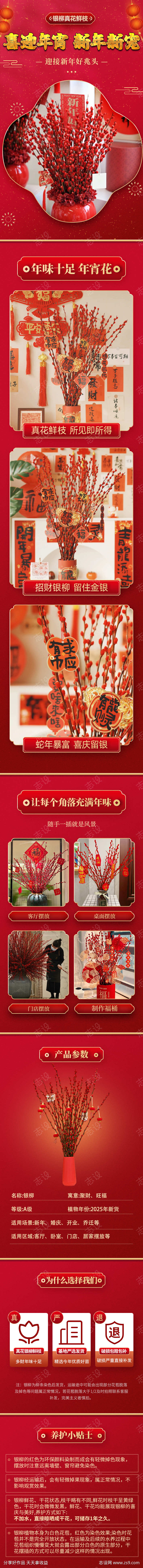 花卉绿植银柳详情页